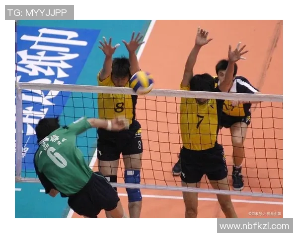 深圳排球队的团队协作精神与战术配合探讨