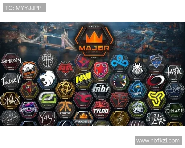 CSGO传奇之路：深入探讨JDG战队的拼搏与荣耀历程